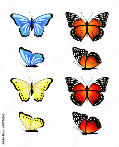 Bright set of vector butterflies © DELYRICA
