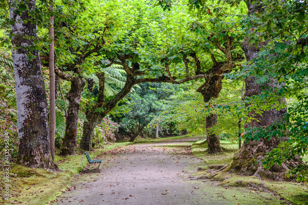 Terra Nostra Botanical Garden in Furnas, Sao Miguel Island, Portugal