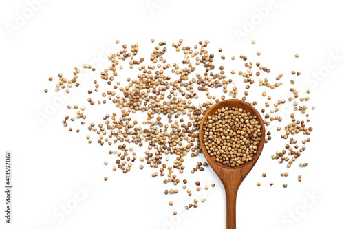 top view coriander seeds in a wooden spoon on white background with copy space                                                        