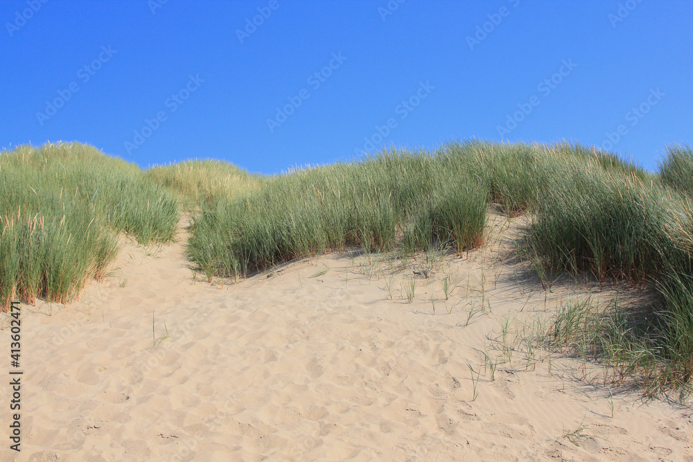 A dune landscape on the North Sea coast in the Netherlands
A dune landscape on the North Sea coast in the Netherlands