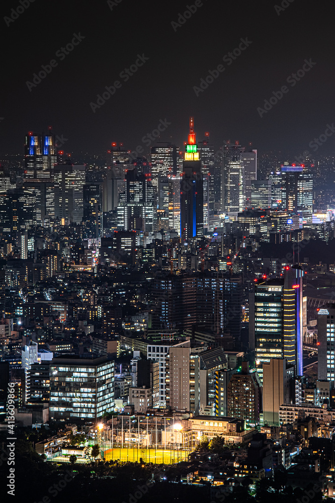 Fototapeta premium city skyline at night