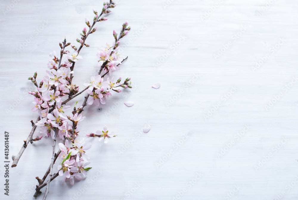 Almond blossom brunches. Image with copy space Almond blossom brunches. Image with copy space