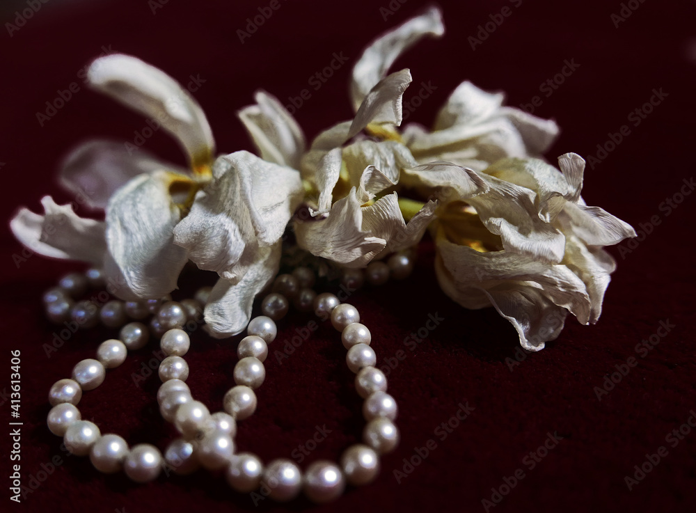 elegante composizione di fiori bianchi e perle su sfondo scuro elegante composizione di fiori bianchi e perle su sfondo scuro