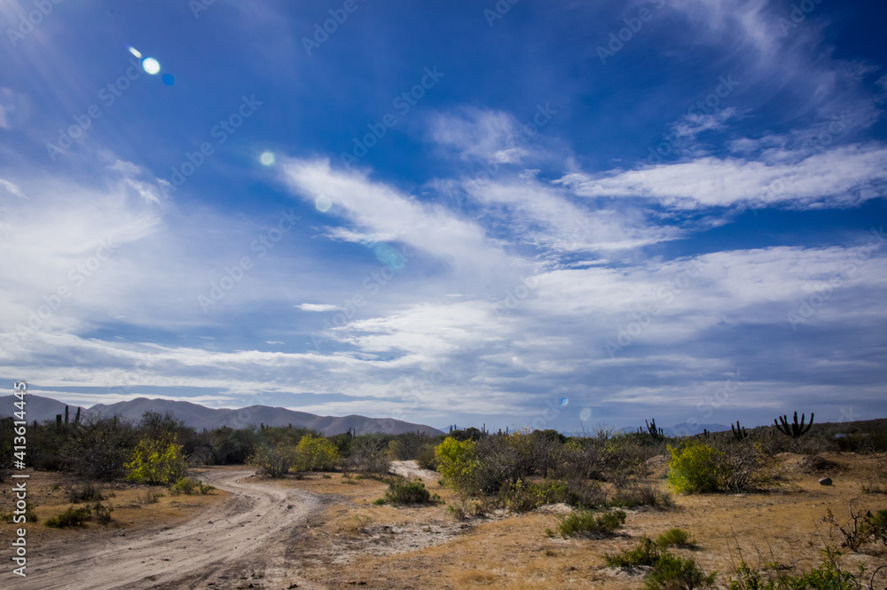 Baja Driveway