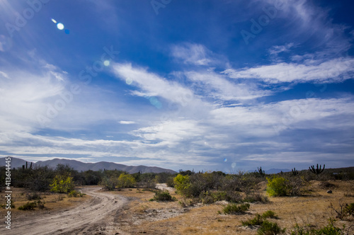 Baja Driveway