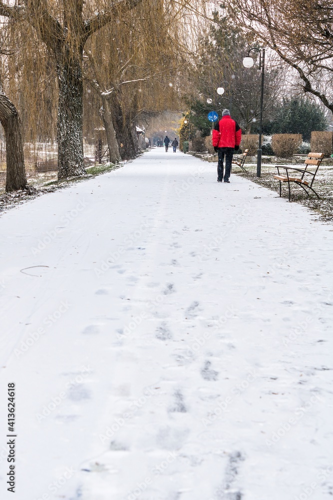 Walking through the winter 