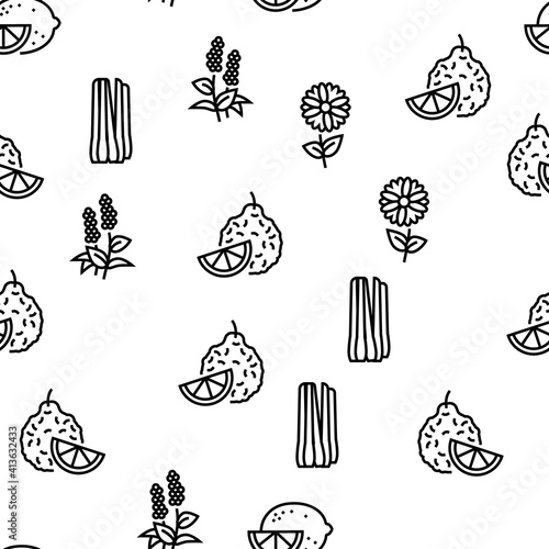 Aromatherapy Herbs Vector Seamless Pattern Thin Line Illustration