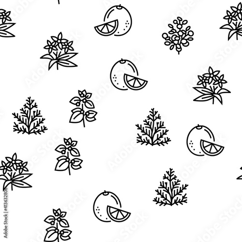 Aromatherapy Herbs Vector Seamless Pattern Thin Line Illustration