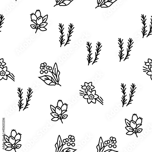 Aromatherapy Herbs Vector Seamless Pattern Thin Line Illustration