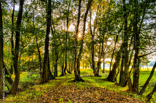 Herbst in der Boberger Niederung