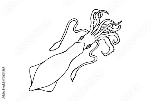 Squid. Vector stock illustration eps10. Isolate on white background, outline. Hand drawing. 
