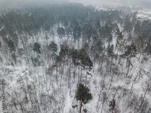 Fototapeta Naklejka Na Ścianę i Meble -  Snowy forest in a blizzard. Aerial drone view. Winter snowy morning.