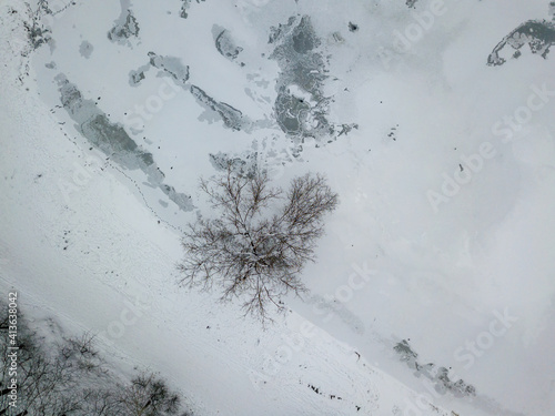 A lonely snow-covered tree on the shore of a frozen lake. Aerial drone view. Winter snowy morning.