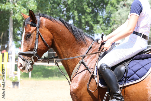  Show jumper horse under saddle in action