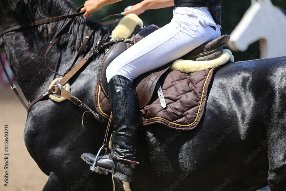 Show jumper horse under saddle in action Show jumper horse under saddle in action