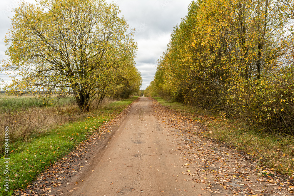 Beautiful Fall scene on curved unpaved road with colorful leaves on trees and in the road Beautiful Fall scene on curved unpaved road with colorful leaves on trees and in the road