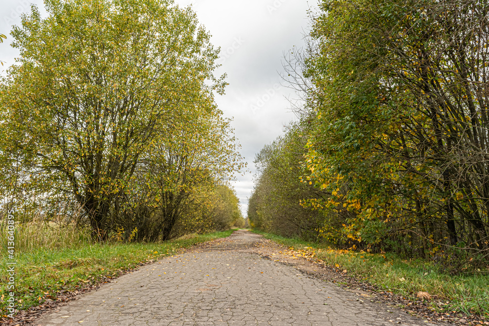 An old abandoned road with cracked asphalt. On the side of the road there is green grass and trees with yellow orange foliage. Cloudy autumn day.