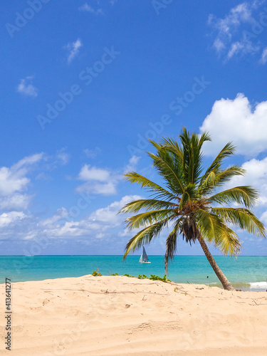 Coconut tree on the beach and sail boat in the sea.
