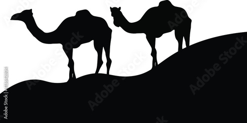 a silhouette of two arabian camel wlking is sahra, isolated camels vector