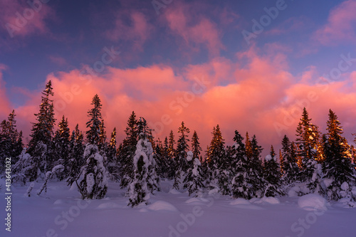 Evening at Tjuvåsen Hill, part of the Totenåsen Hills, Norway, at winter. © Øyvind