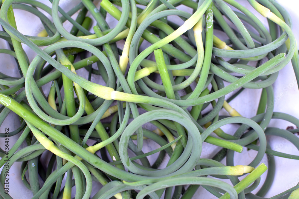 Garlic arrows are collected Garlic arrows are collected