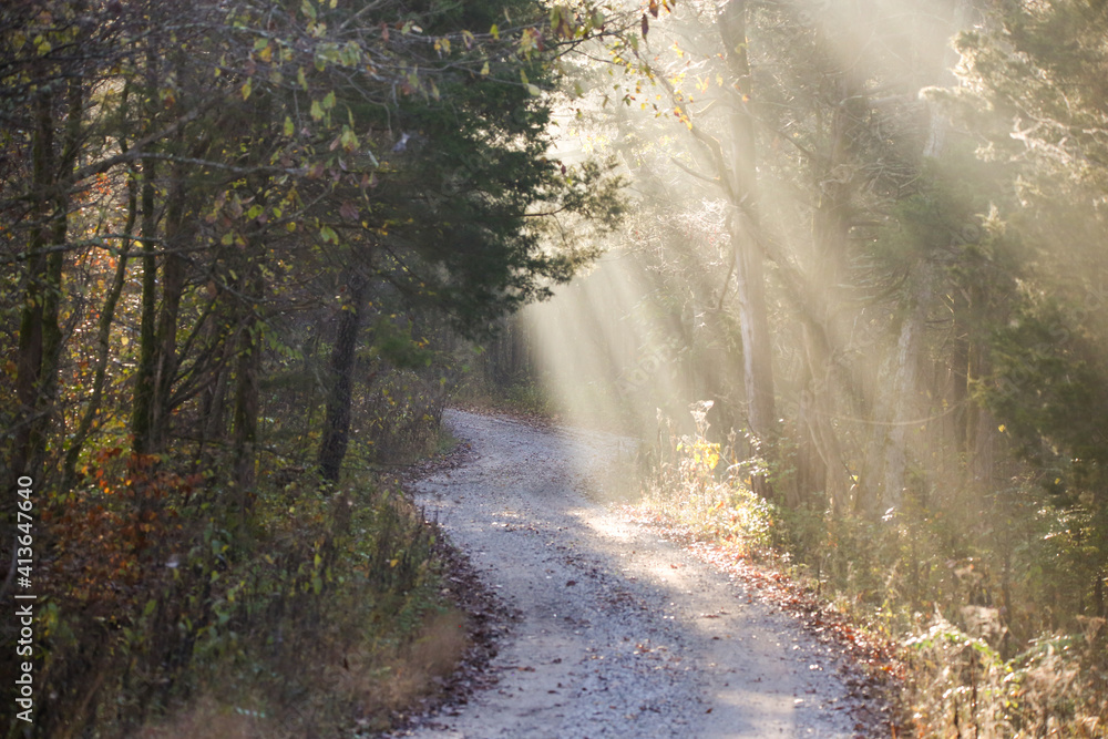 Obraz premium Sunbeams on dirt road