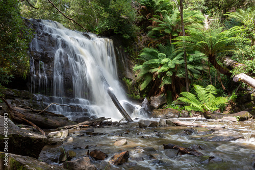 Lilydale water falls Northern Tasmania