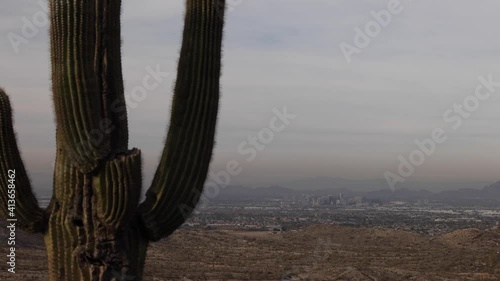 Phoenix Arizona Skyline Tracking By Cactus In Foreground Closer