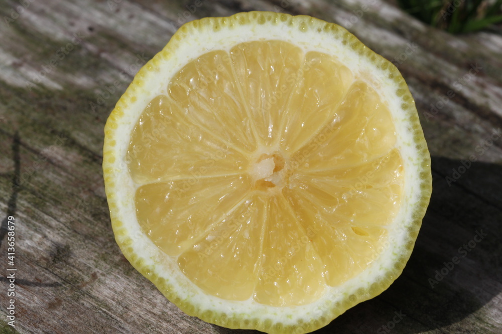 Rodaja de limón - Citrus limon Rodaja de limón - Citrus limon