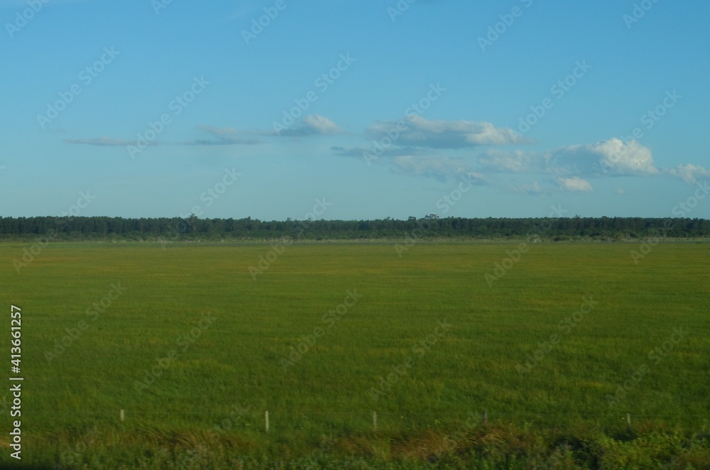 field and blue sky