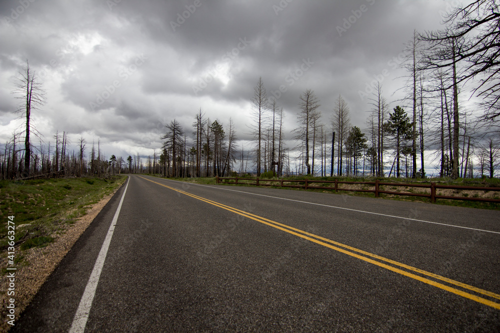 Fototapeta premium Death Forrest, Bryce canyon