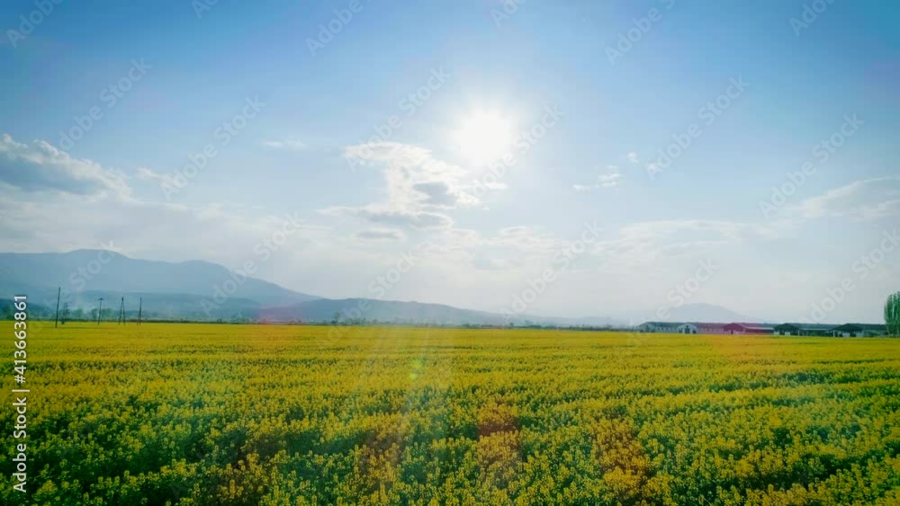 Beautiful idyllic nature, aerial forward motion view over agricultural countryside landscape with blooming canola yellow field and blue sky, sunny day Beautiful idyllic nature, aerial forward motion view over agricultural countryside landscape with blooming canola yellow field and blue sky, sunny day