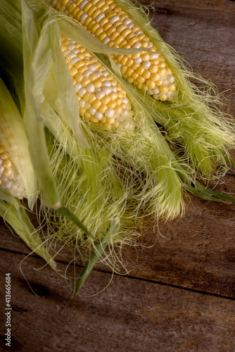 Fresh Raw Corn on Cobs on an old wooden table. Autumnal harvest background in a dark mood.