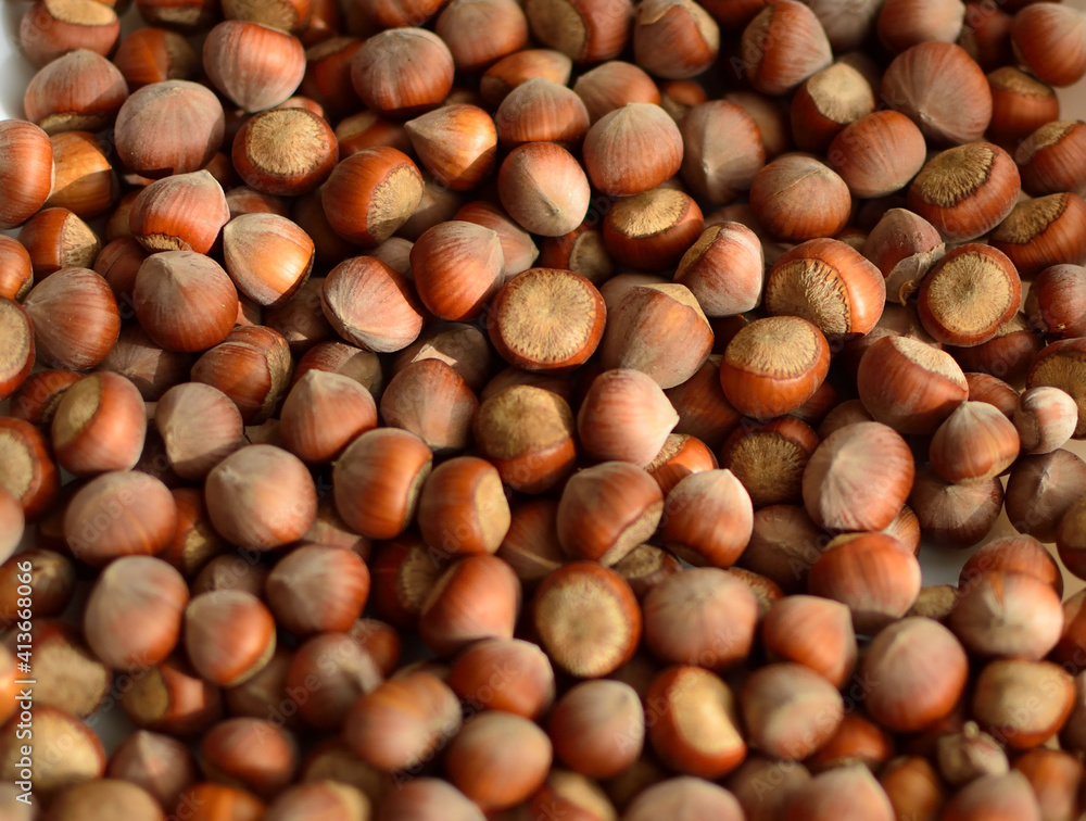 Hazelnuts. Stack of hazelnuts. Food background. Hazelnut background Hazelnuts. Stack of hazelnuts. Food background. Hazelnut background