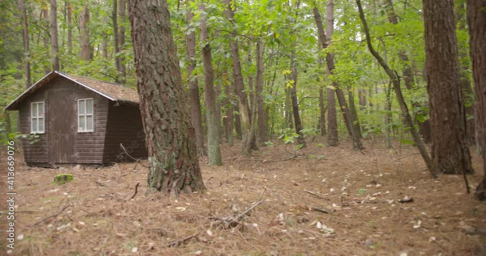 View of an old, wooden outbuilding in a forest. Shack between the trees in the woods. Shed with two windows and a door in woodlands. Little barn between the conifers. Dated wooden building in nature. View of an old, wooden outbuilding in a forest. Shack between the trees in the woods. Shed with two windows and a door in woodlands. Little barn between the conifers. Dated wooden building in nature.