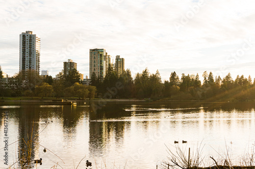 reflection in the water photo