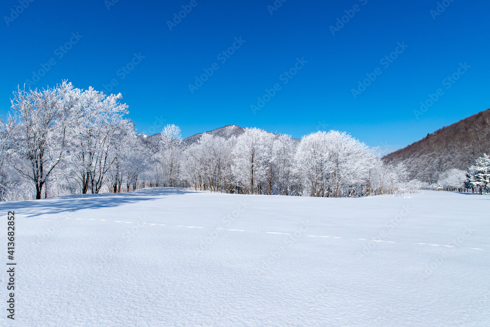 北海道冬の風景 富良野の樹氷 北海道冬の風景 富良野の樹氷