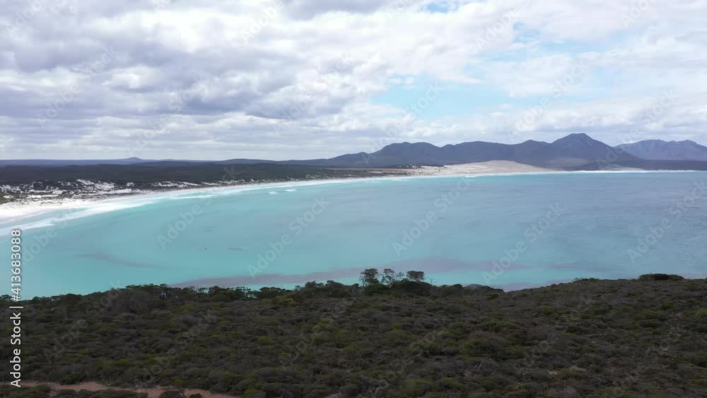 Aerial shot of person walking and looking at pod of southern right whales migrating along coast of Western Australia Aerial shot of person walking and looking at pod of southern right whales migrating along coast of Western Australia