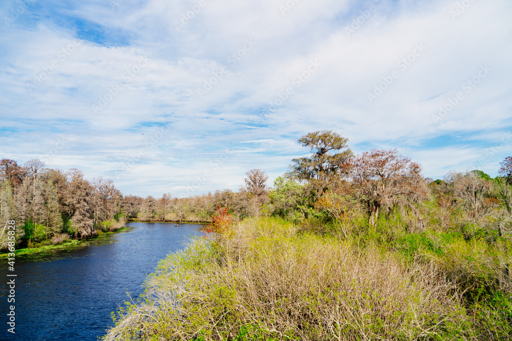 The landscape of lettuce park and Hillsborough river in Florida The landscape of lettuce park and Hillsborough river in Florida