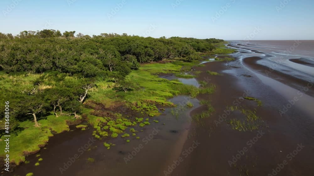Rising aerial of woodlands and sandbanks by edge of Rio de La Plata Rising aerial of woodlands and sandbanks by edge of Rio de La Plata
