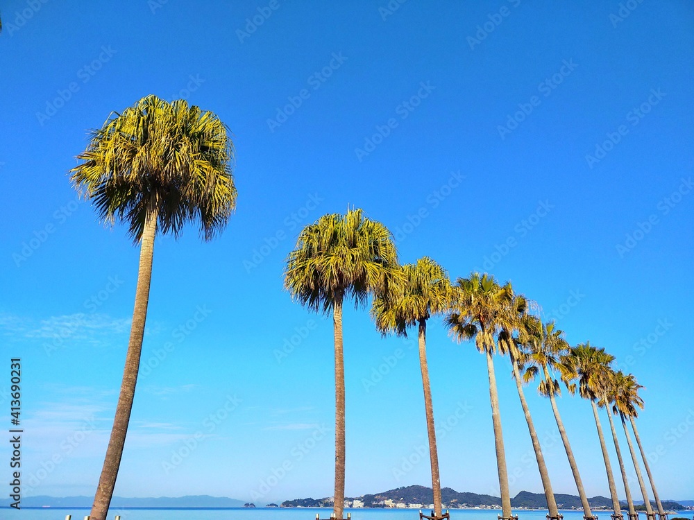Obraz premium ビーチに立ち並ぶヤシの木の風景