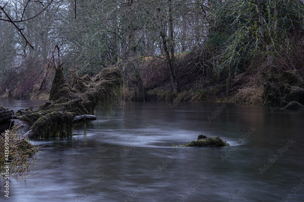 river in a lush forest river in a lush forest