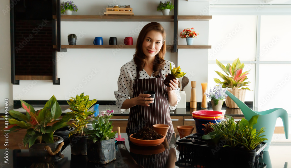 Beautiful Asian woman wearing apron preparing and arranging pods of small flowers and little tree for decorating in a new open coffee shop