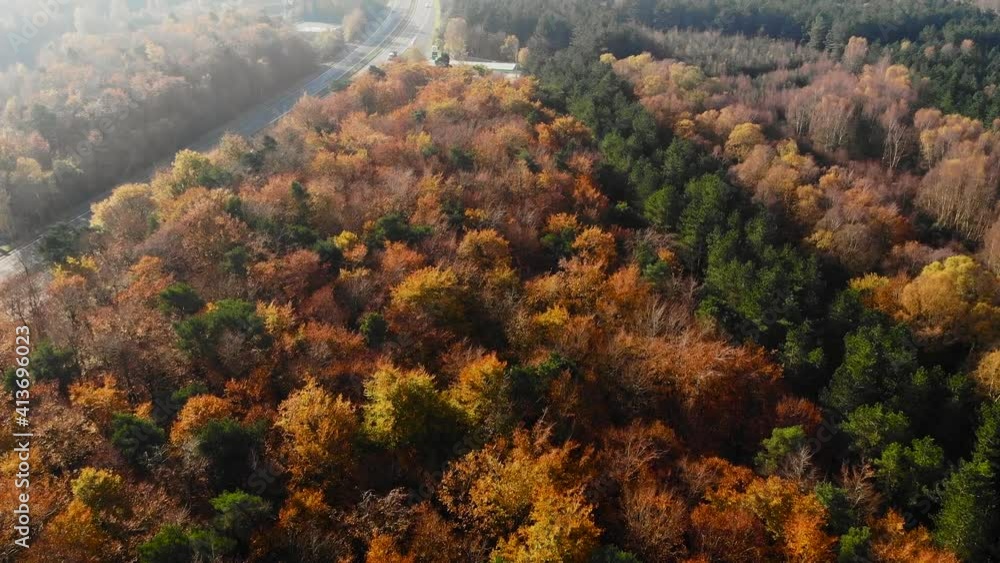 Aerial view of the autumn forest. Aerial view of the autumn forest.
