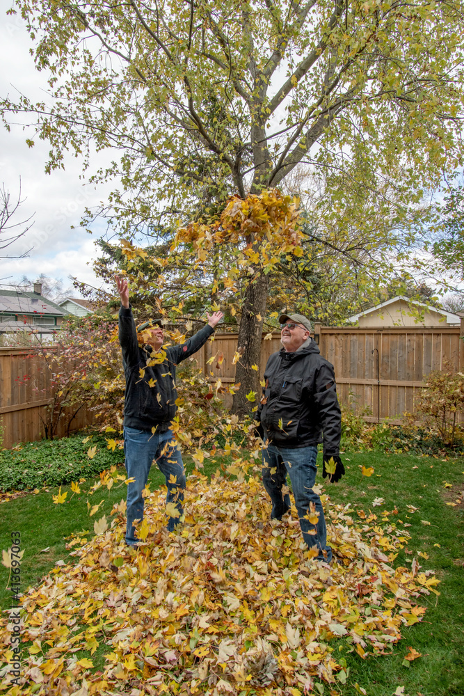 Fototapeta premium Gay senior married couple backyard autumn cleanup and playing with the fallen leaves.