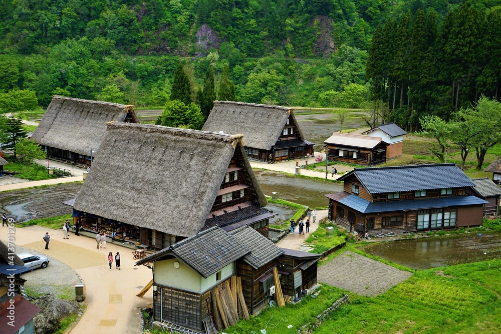 Traditional thatched roof house in Gokayama village, world heritage in Japan - 五箇山の合掌造り集落 富山県 日本 Traditional thatched roof house in Gokayama village, world heritage in Japan - 五箇山の合掌造り集落 富山県 日本