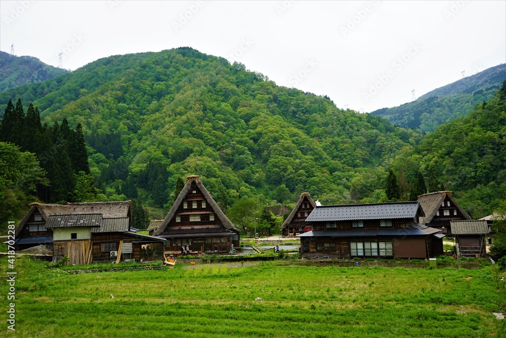 Traditional thatched roof  house in Gokayama village, world heritage in Japan - 五箇山の合掌造り集落 富山県 日本
