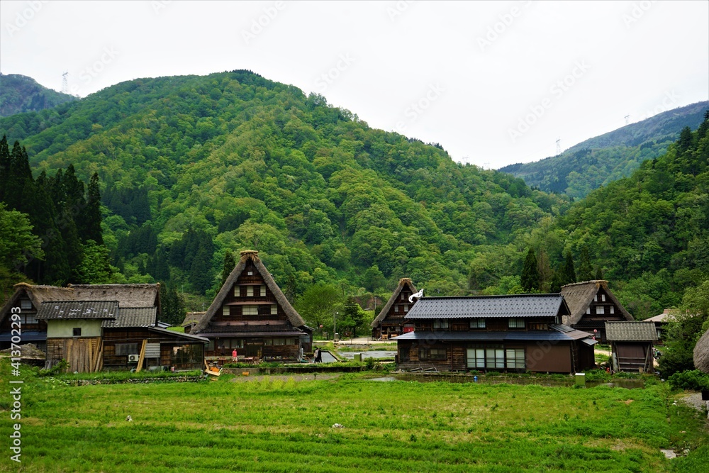 Traditional thatched roof  house in Gokayama village, world heritage in Japan - 五箇山の合掌造り集落 富山県 日本