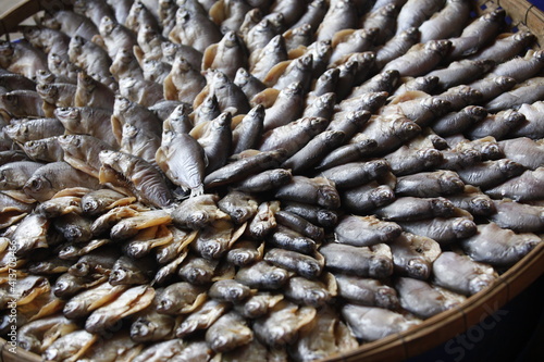 fish in the fish market 