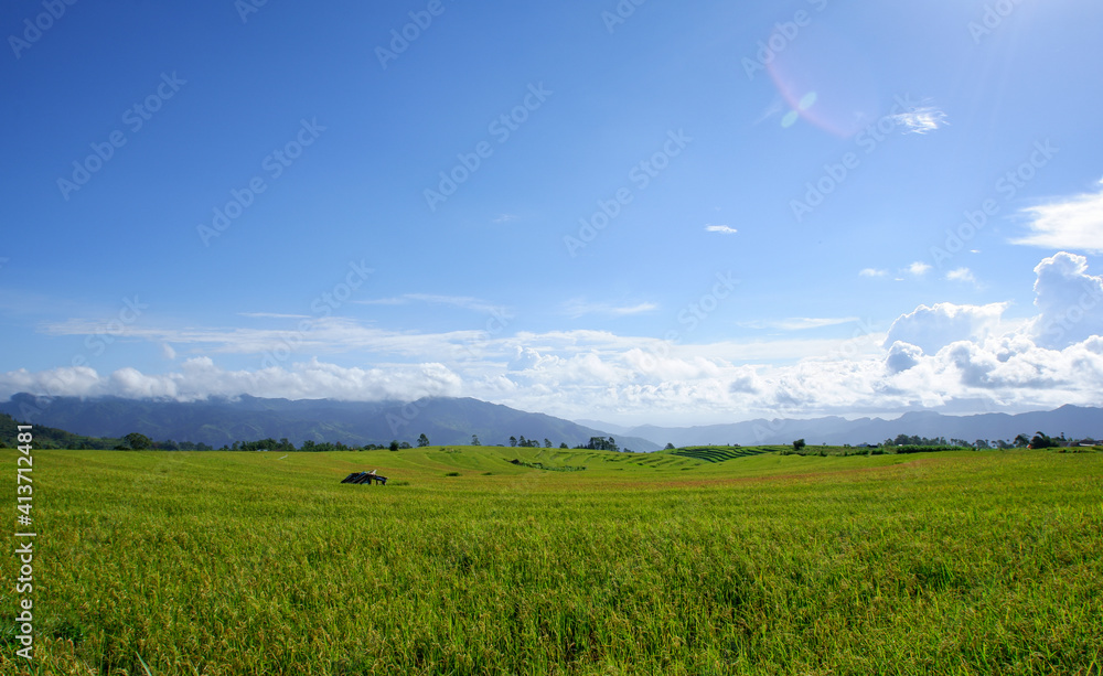 rice field and blue sky with clouds a view from south sulawesi street
